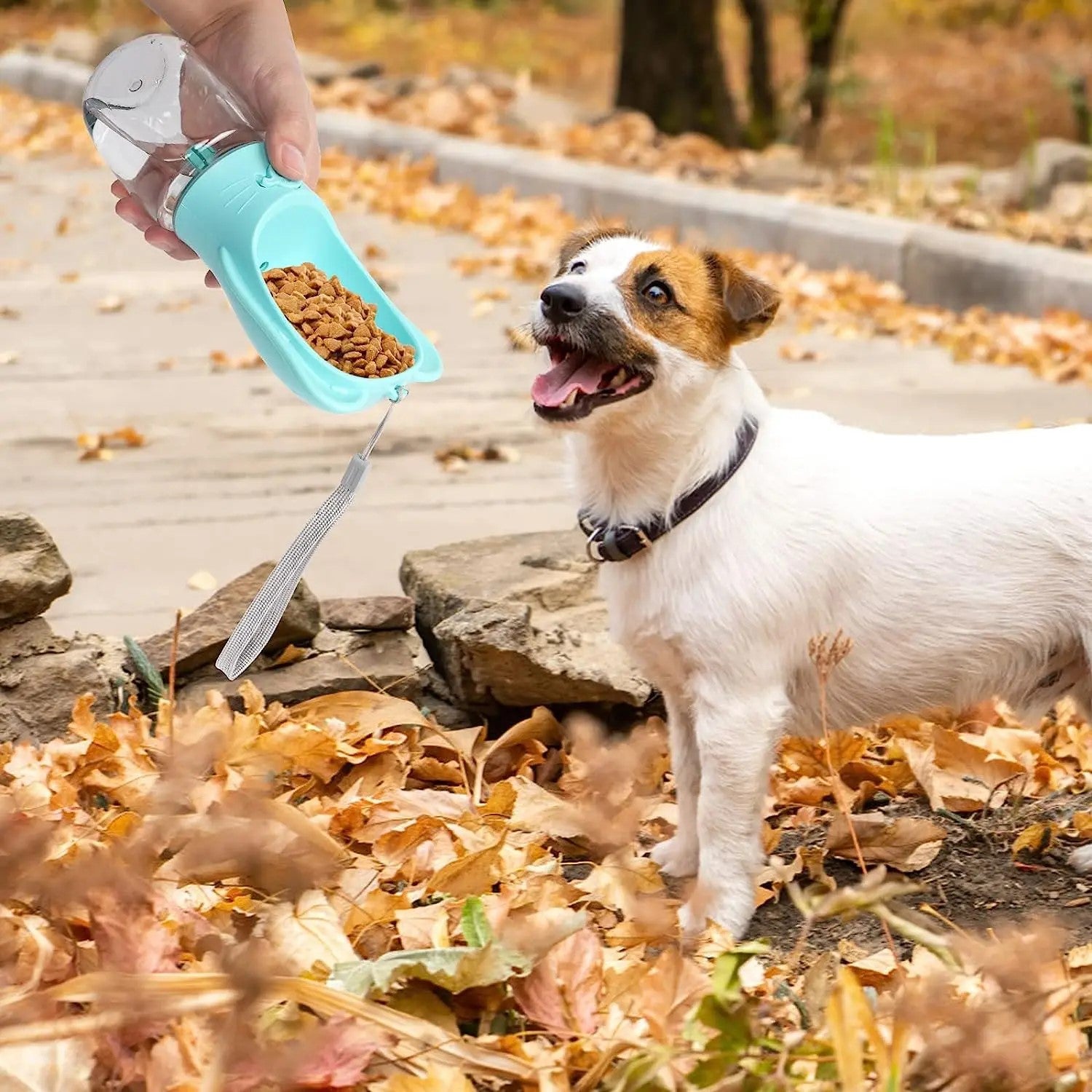 Gourde pour chien pour une hydratation optimale de votre animal