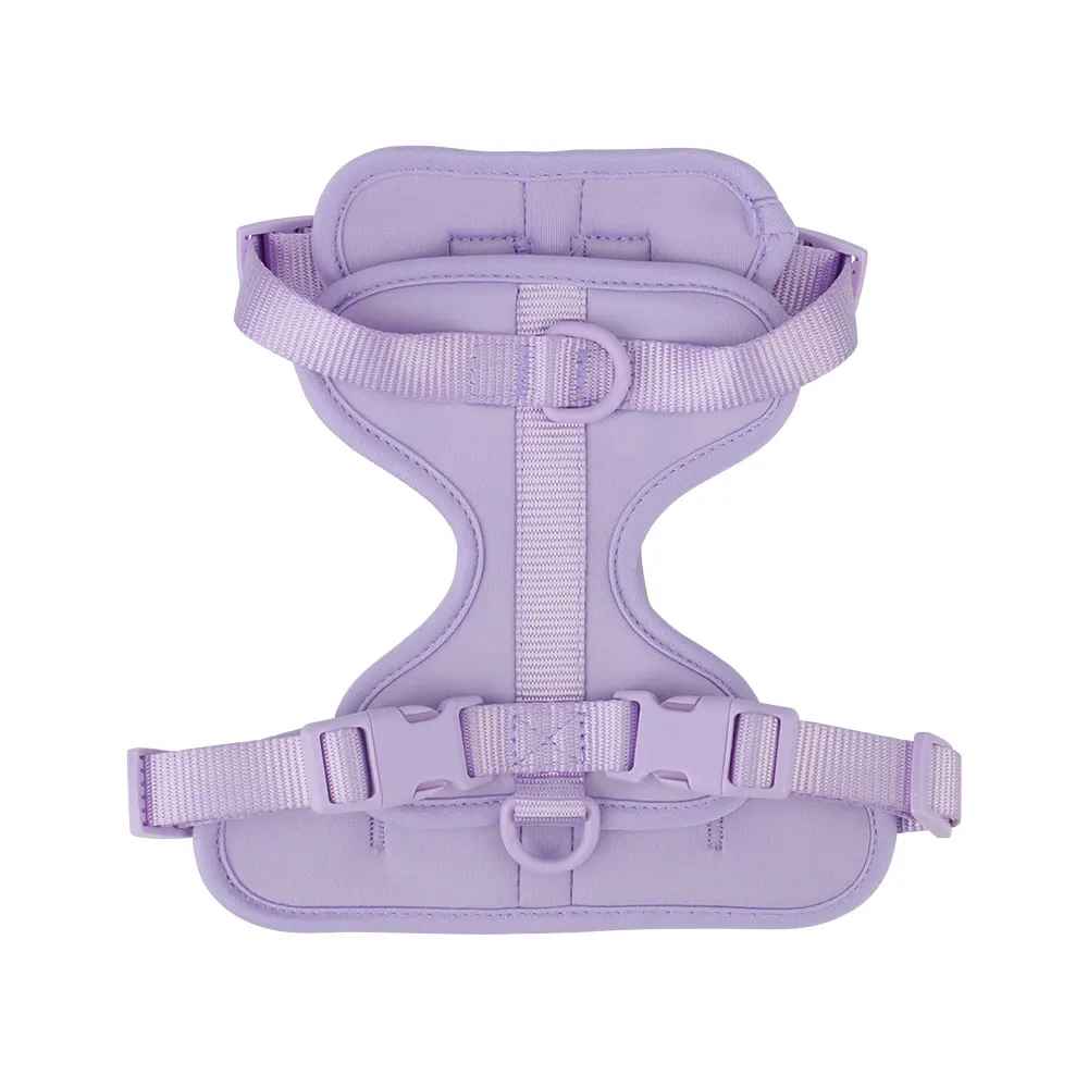 Harnais Chihuahua violet
