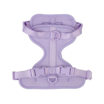 Harnais Chihuahua violet