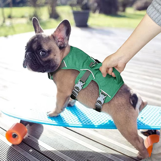 Harnais anti traction chien pour un contrôle naturel