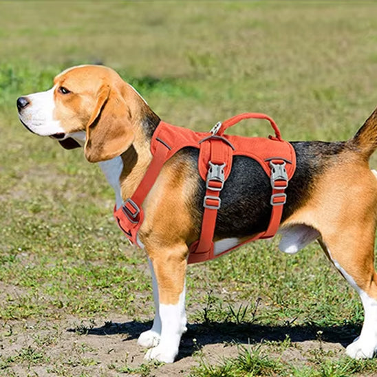 Harnais anti traction chien rouge