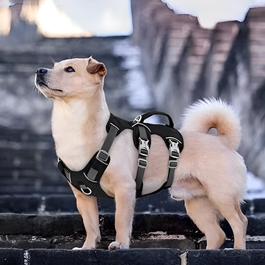 Harnais anti traction chien sécuritaire