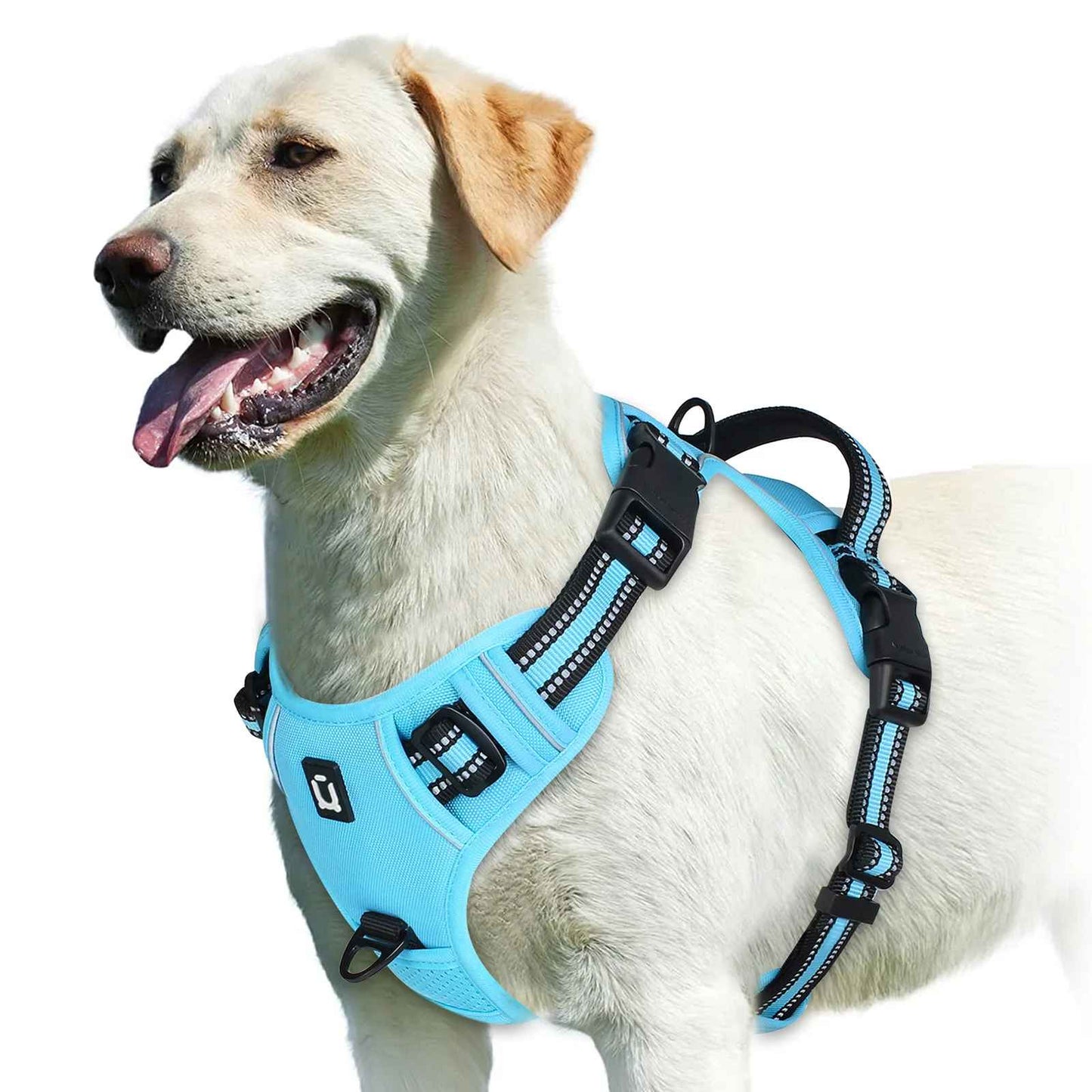 Harnais anti traction pour chien bleu