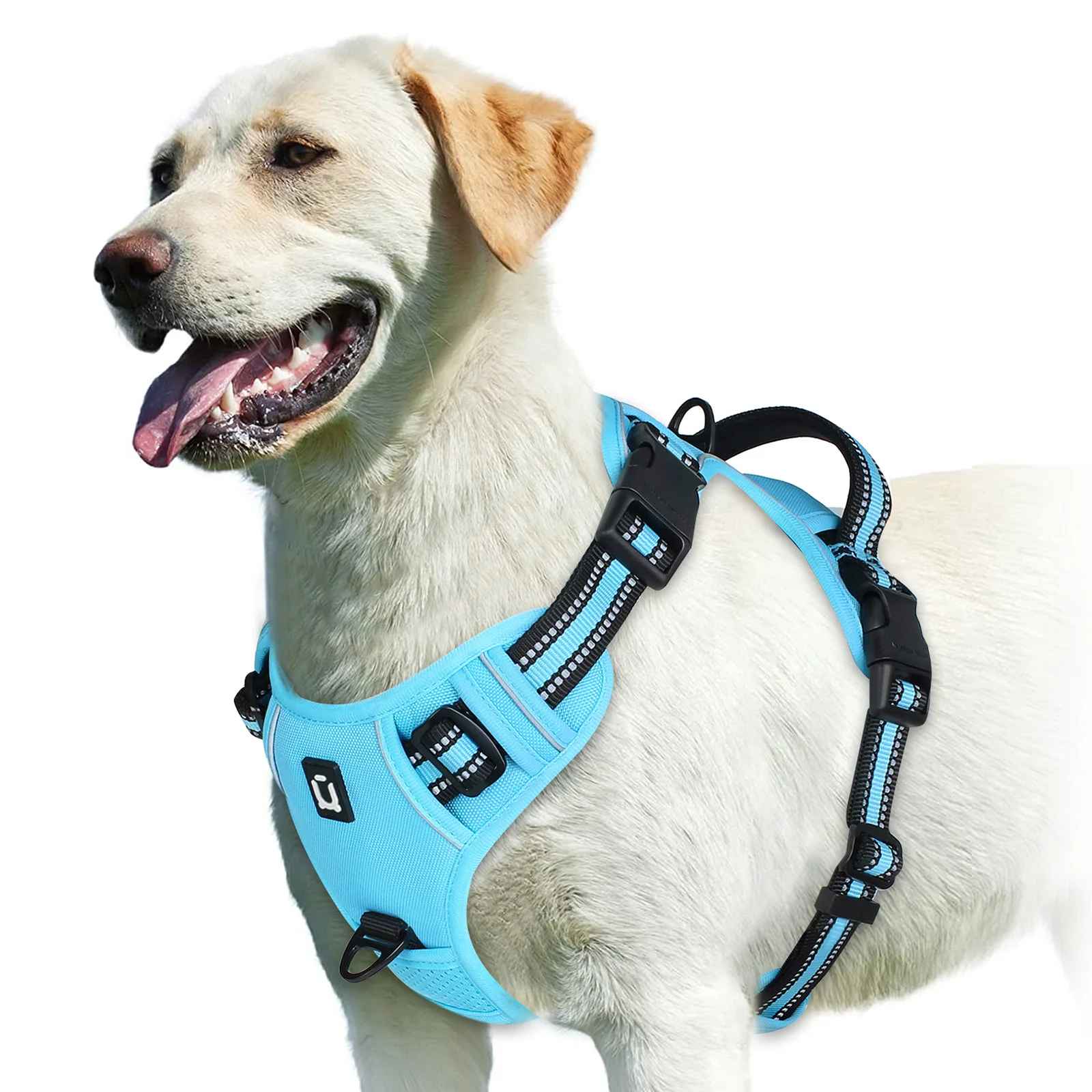 Harnais anti traction pour chien bleu