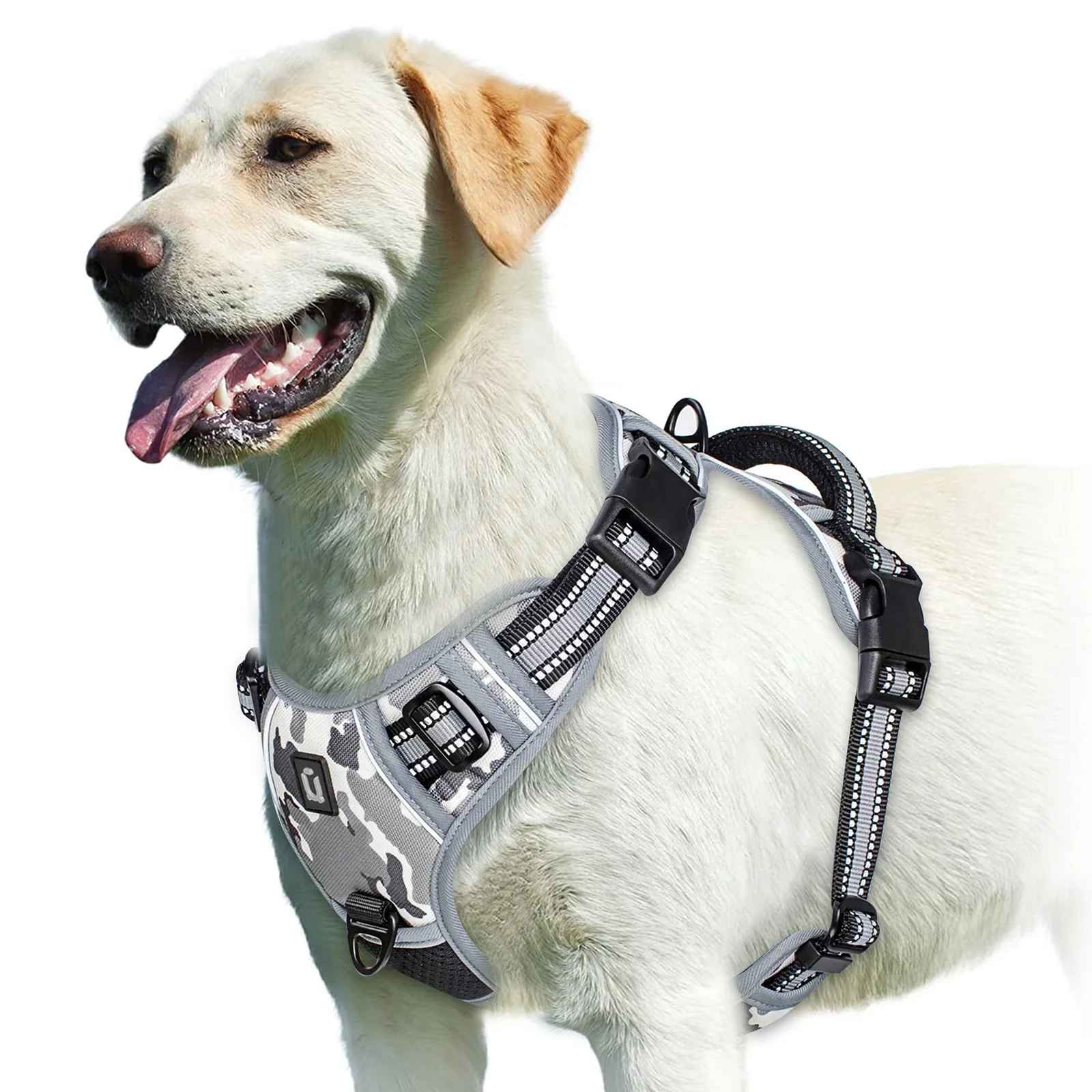 Harnais anti traction pour chien gris