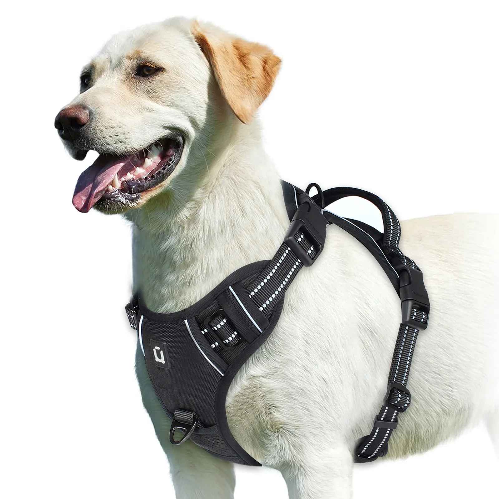 Harnais anti traction pour chien noir