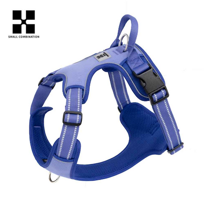 Harnais chien | Réglable violet