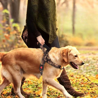 Harnais pour chien avec prise en main facile