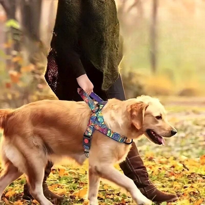 Harnais pour chien avec rembourrage doux