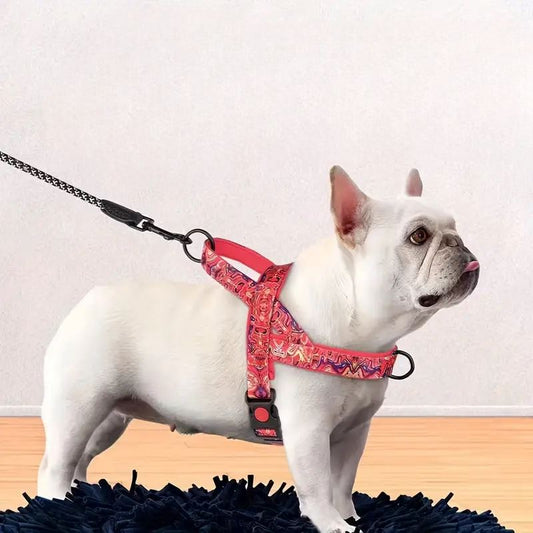 Harnais pour chien confortable