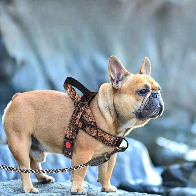 Harnais pour chien en nylon sans traction