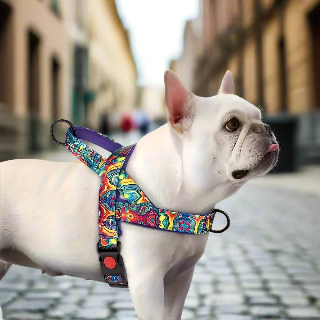 Harnais pour chien ergonomique 