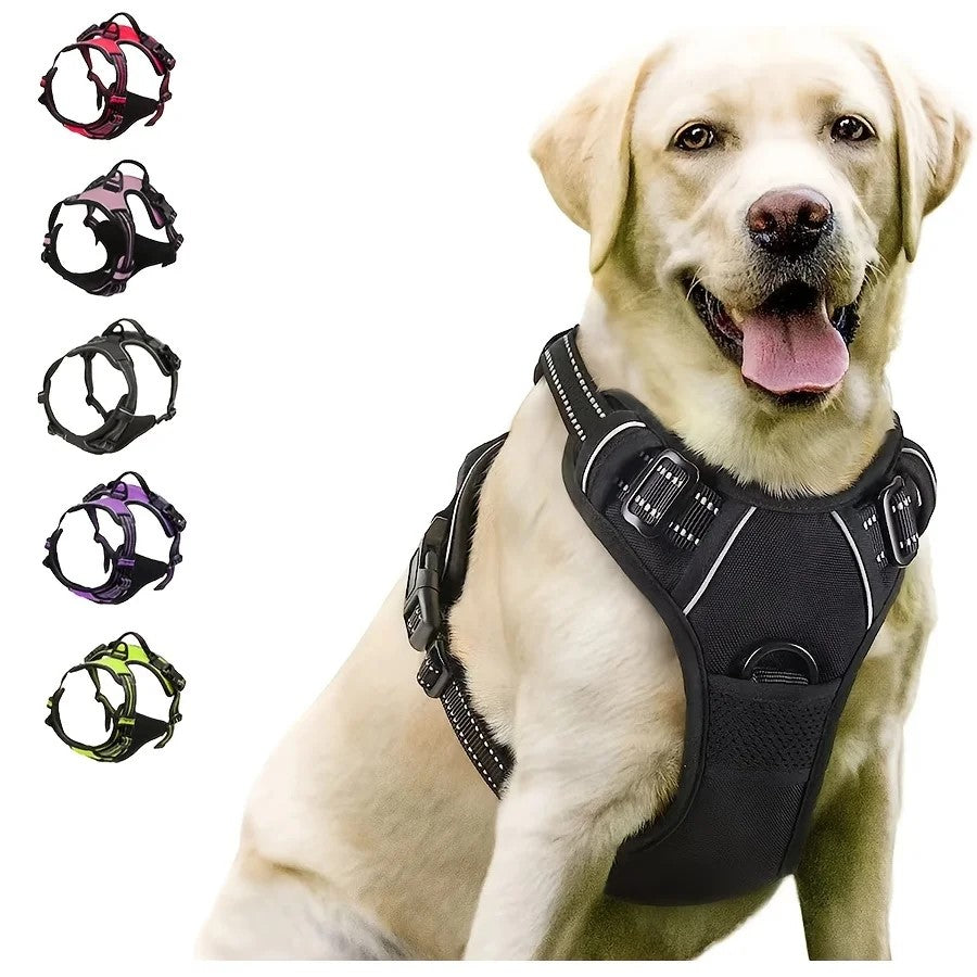 Harnais lumineux pour chien sécuritaire et confortable