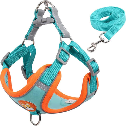 Harnais pour chiots qui offre un contrôle optimal pendant les promenades tout en assurant le confort de votre animal