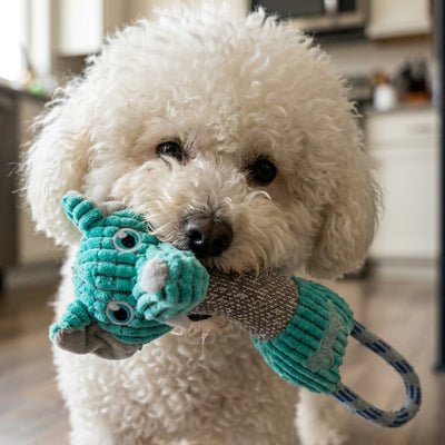 Jouet interactif pour Chien | Velours côtelé résistant - Excursion Chien