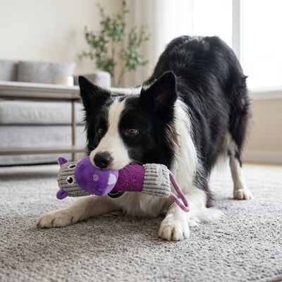 Jouets interactifs pour chiens qui stimulent