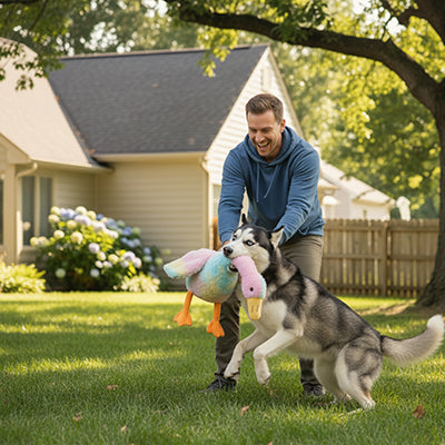 La peluche Chien en forme de Canard qui fait le bonheur du Chien et de son maitre
