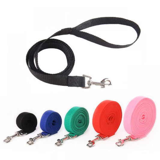 Laisse pour chien | Amagood