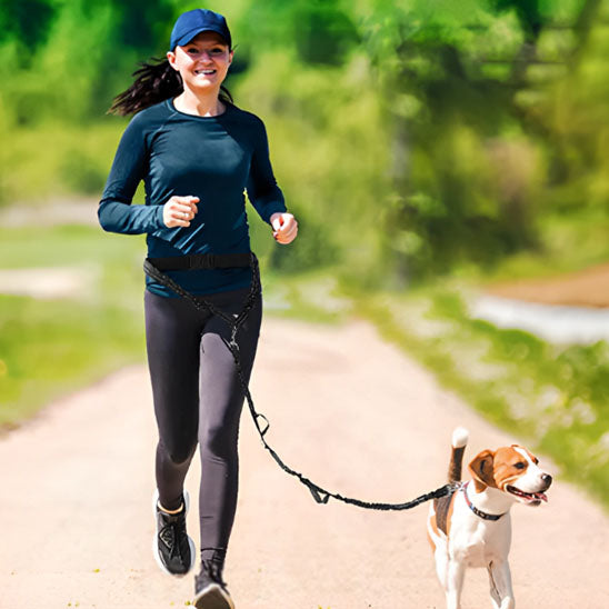 Laisse mains libres pour chien confortable