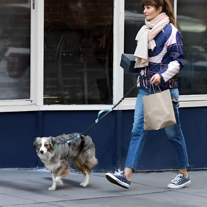 Laisse mains libres pour chien polyvalente