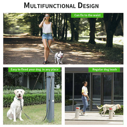 Laisse mains libres pour chiens multiusages