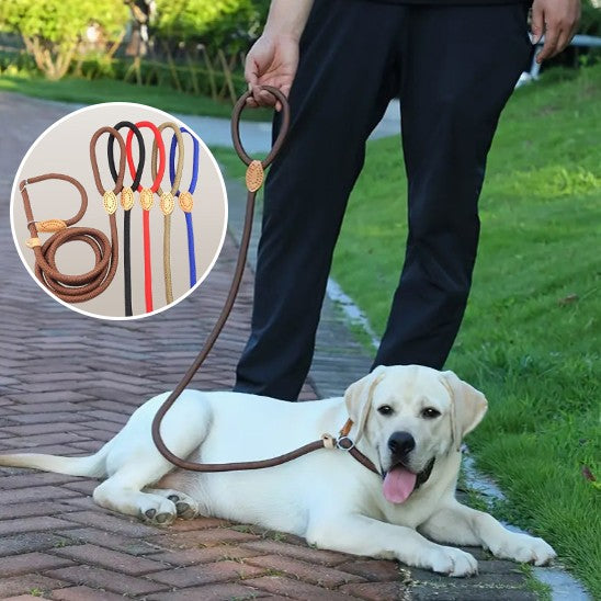 Laisse pour chien | Ergonomique