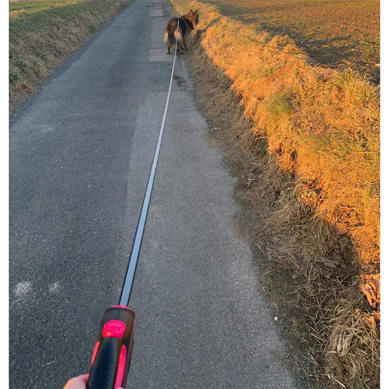 Laisse pour chien adaptable à toutes les races