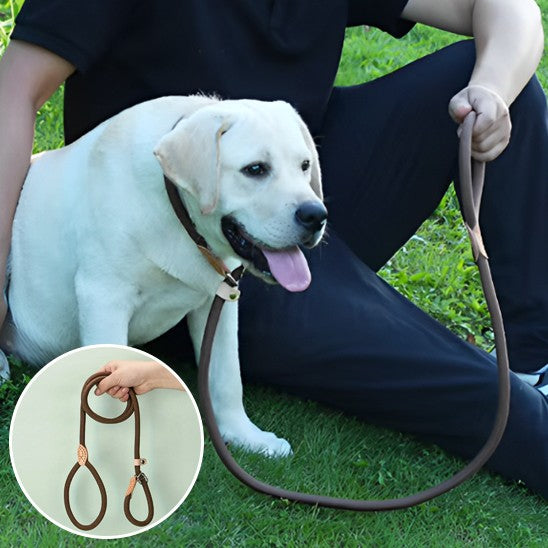 Laisse pour chien | Ergonomique