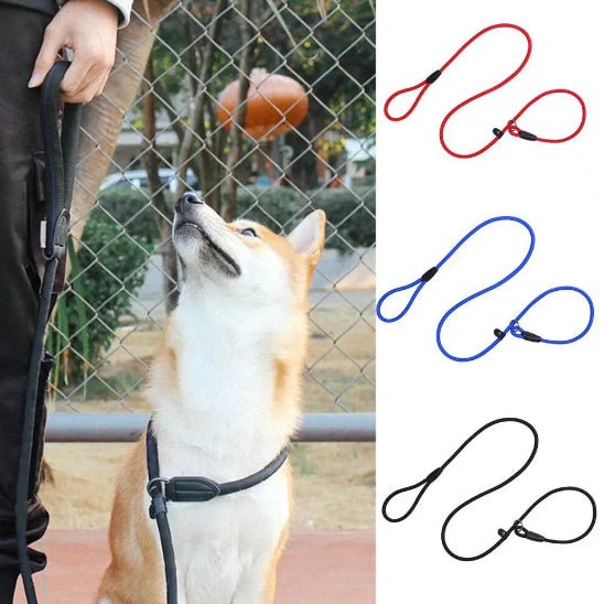 Laisse pour chien ajustable