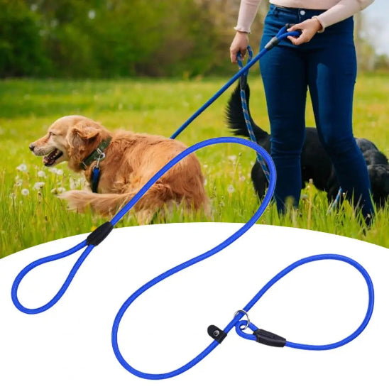 Laisse pour chien confortable à la main