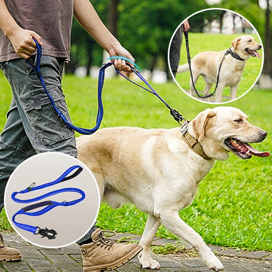 laisse pour chien | Robuste