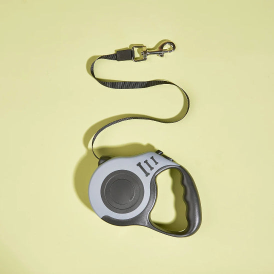 Laisse pour chien extensible