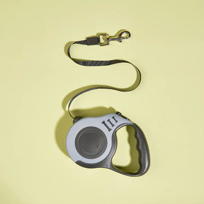 Laisse pour chien extensible