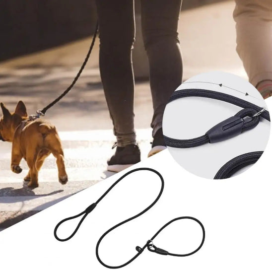 Laisse pour chien facile à contrôler