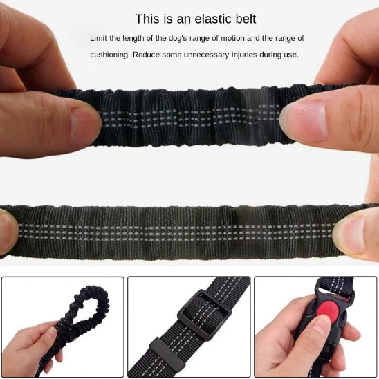 Laisse pour chien main libre ajustable