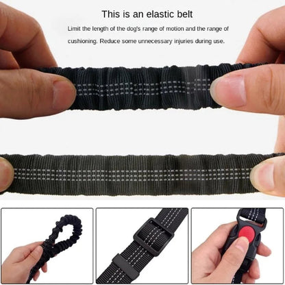 Laisse pour chien main libre ajustable