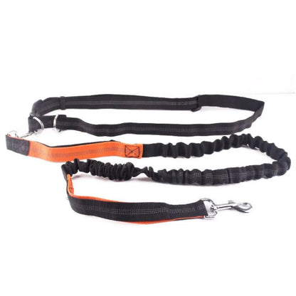 Laisse pour chien main libre ergonomique