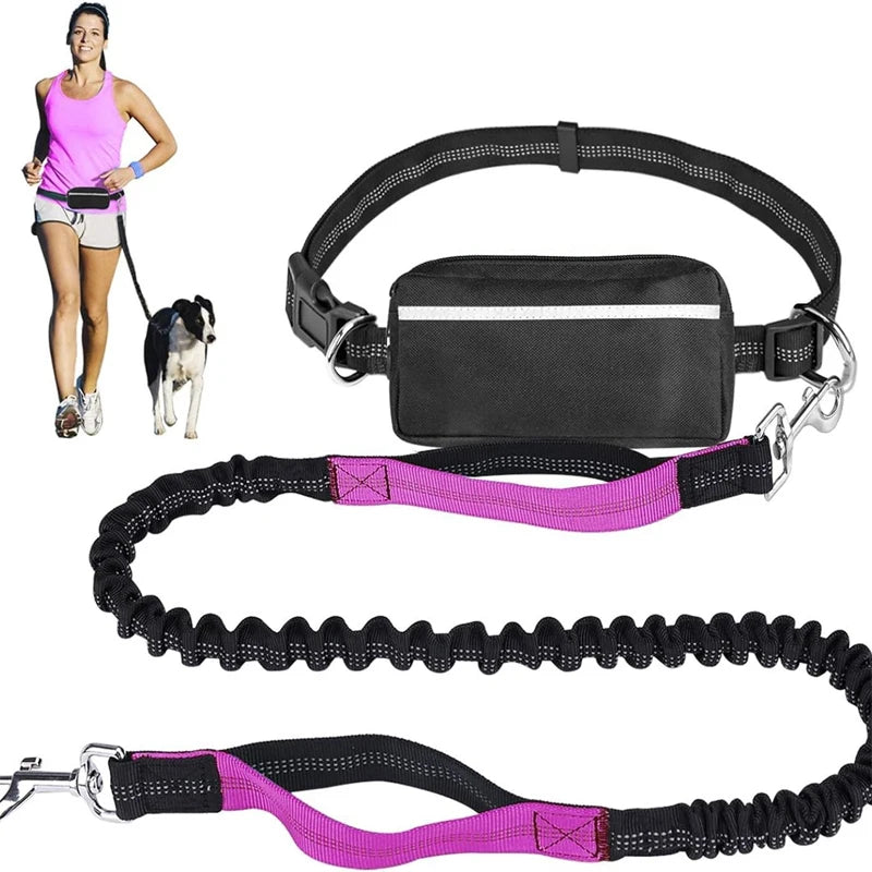 Laisse pour chien main libre idéale pour faire du Jogging avec son chien