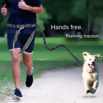 Laisse pour chien main libre multifonction