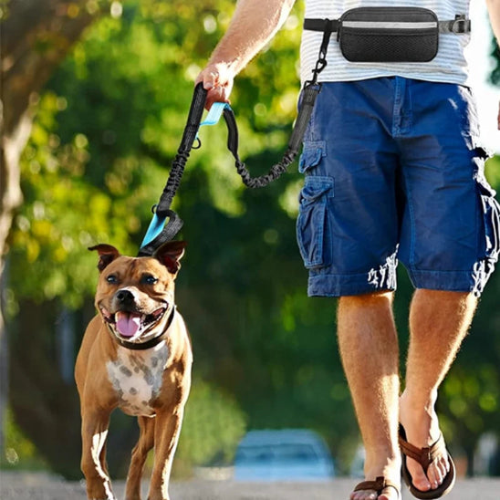 Laisse pour chien main libre muni de sac banane pour ranger ses effets personnels pendant la promenade avec son chien
