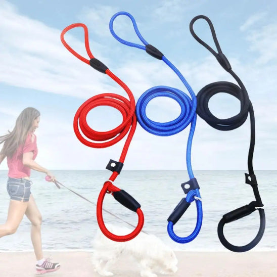 Laisse pour chien nouveau design