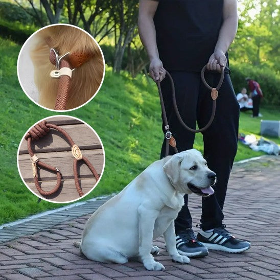 Laisse pour chien | Ergonomique