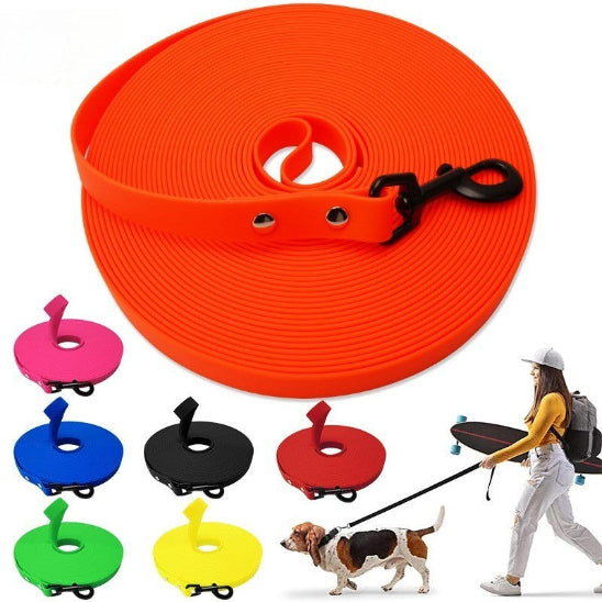 laisse pour chien rouge