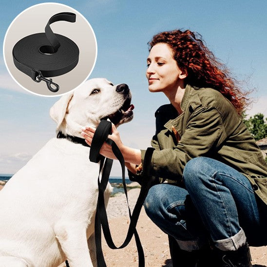 laisse pour chien sécuritaire