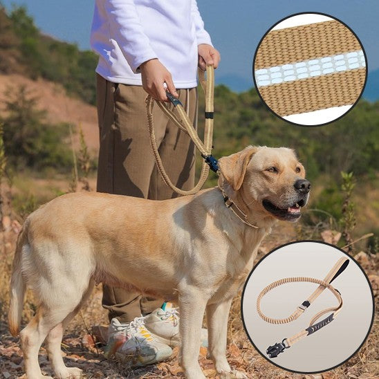 laisse pour chien | Robuste