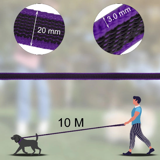 Laisse pour chiens 10 mètres