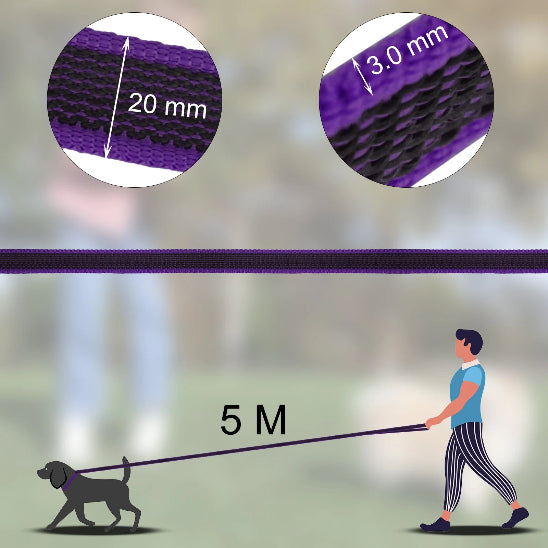 Laisse pour chiens 5 mètres