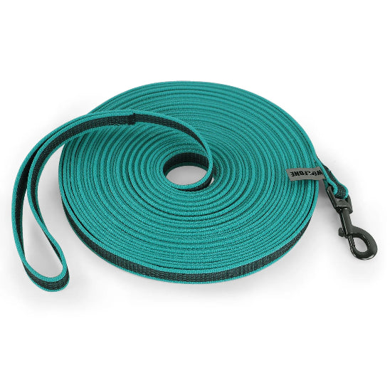 Laisse pour chiens vert