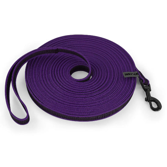 Laisse pour chiens violet