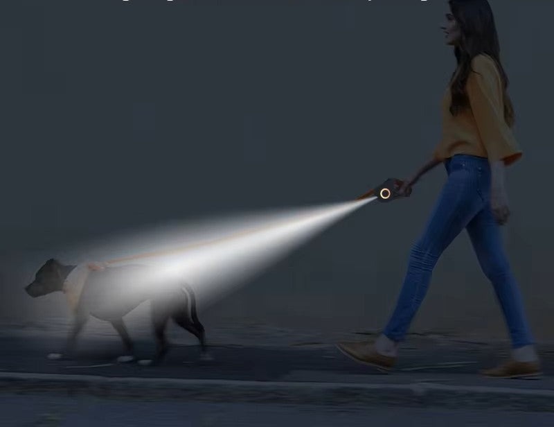 Laisse rétractable pour chien | LED